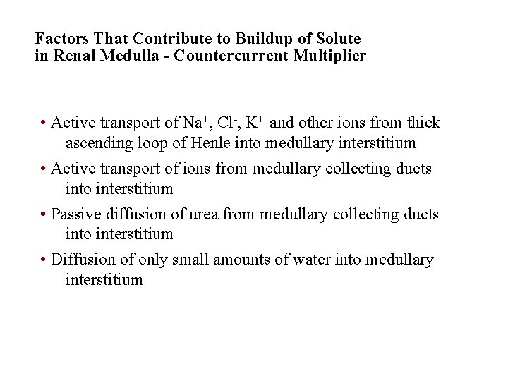 Factors That Contribute to Buildup of Solute in Renal Medulla - Countercurrent Multiplier •
