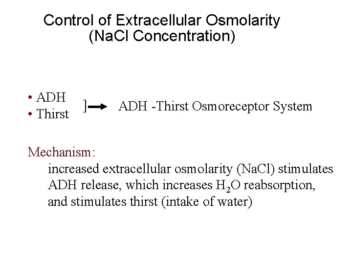 Control of Extracellular Osmolarity (Na. Cl Concentration) • ADH ] • Thirst ADH -Thirst