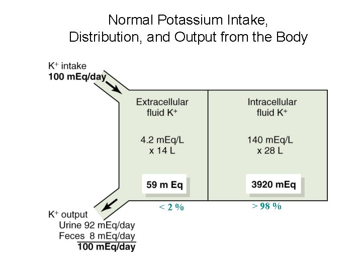 Normal Potassium Intake, Distribution, and Output from the Body <2% > 98 % 