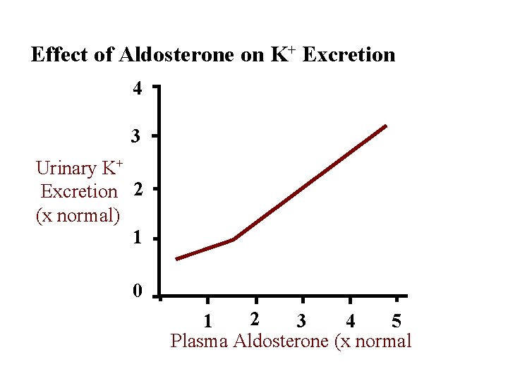Effect of Aldosterone on K+ Excretion 4 3 Urinary K+ Excretion 2 (x normal)