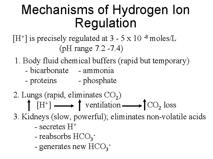 Mechanisms of Hydrogen Ion Regulation [H+] is precisely regulated at 3 - 5 x