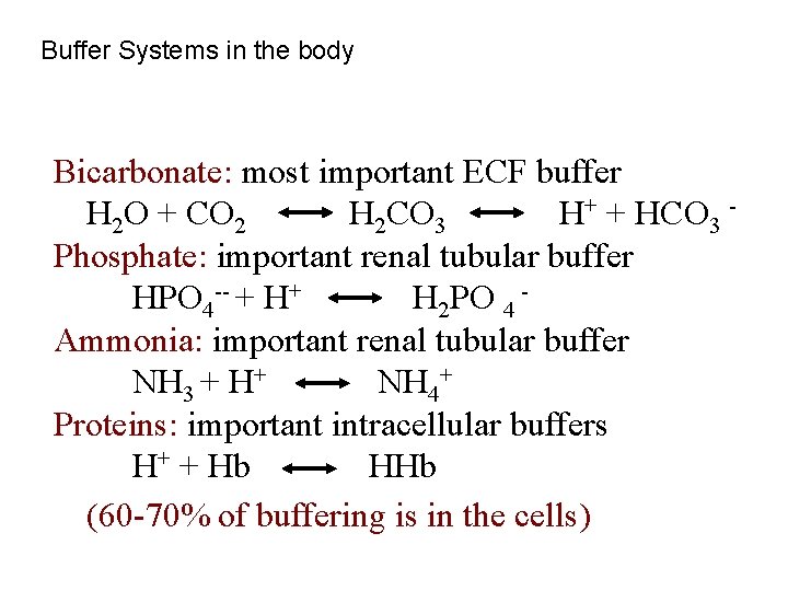 Buffer Systems in the body Bicarbonate: most important ECF buffer H 2 O +