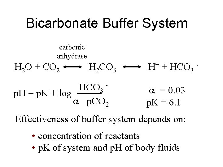 Bicarbonate Buffer System carbonic anhydrase H 2 O + CO 2 H 2 CO