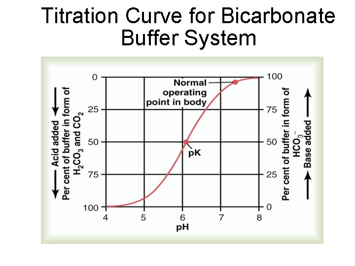 Titration Curve for Bicarbonate Buffer System 