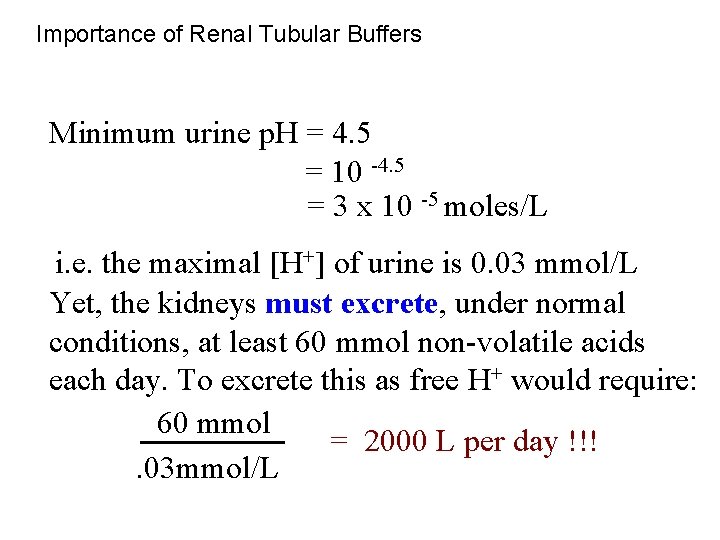 Importance of Renal Tubular Buffers Minimum urine p. H = 4. 5 = 10