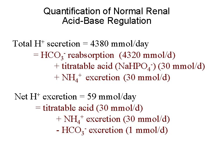 Quantification of Normal Renal Acid-Base Regulation Total H+ secretion = 4380 mmol/day = HCO