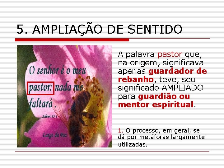 5. AMPLIAÇÃO DE SENTIDO A palavra pastor que, na origem, significava apenas guardador de