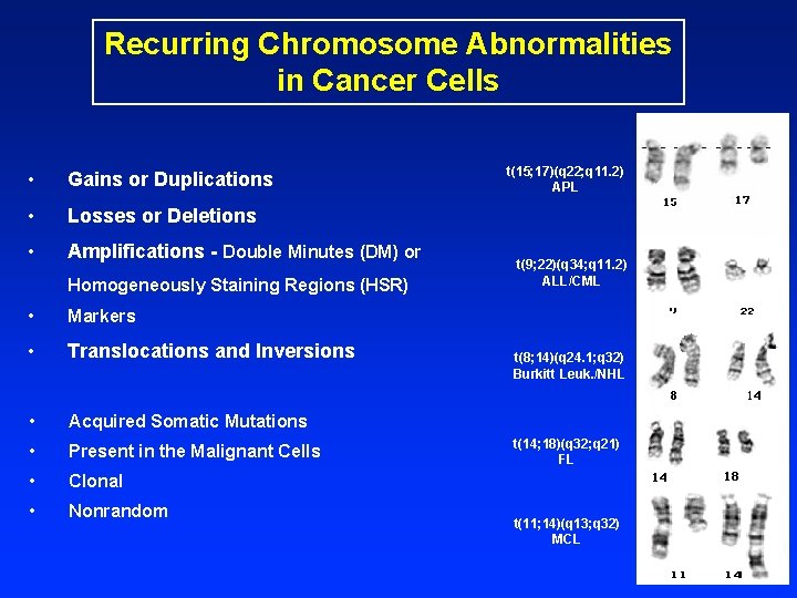 Recurring Chromosome Abnormalities in Cancer Cells • Gains or Duplications • Losses or Deletions