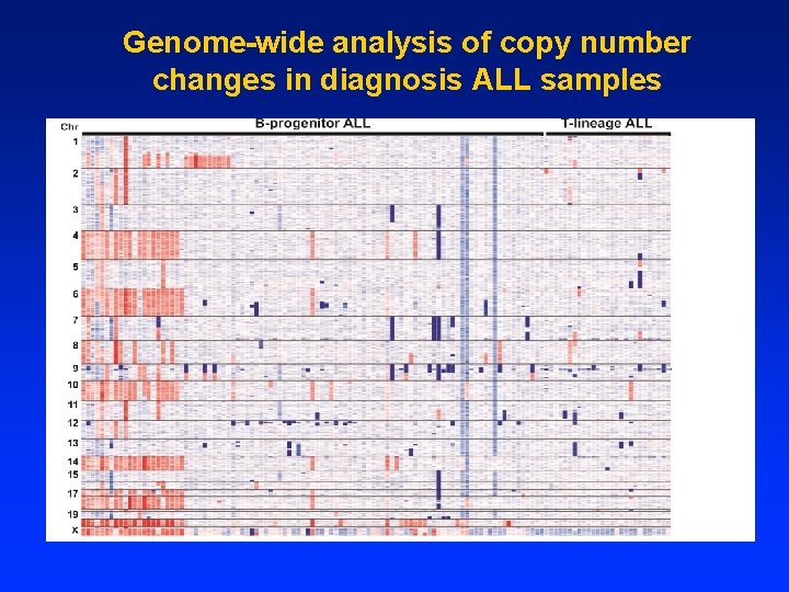 Genome-wide analysis of copy number changes in diagnosis ALL samples 