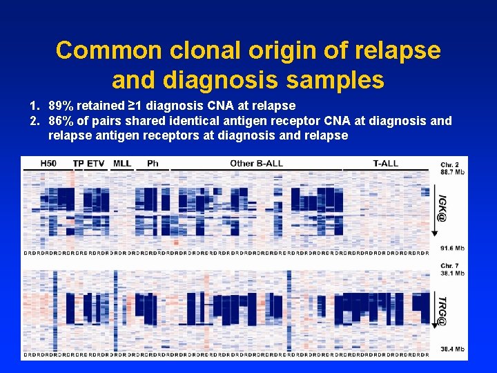 Common clonal origin of relapse and diagnosis samples 1. 89% retained ≥ 1 diagnosis