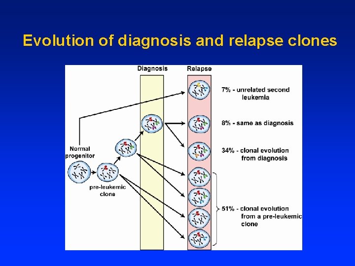 Evolution of diagnosis and relapse clones 