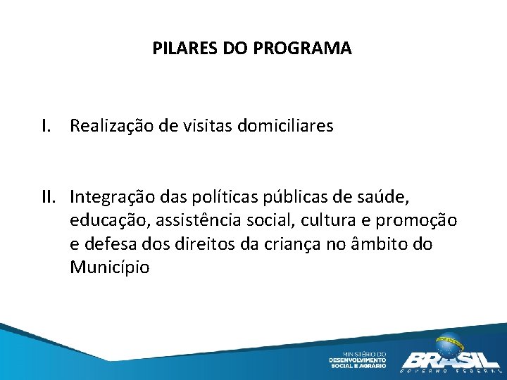 PILARES DO PROGRAMA I. Realização de visitas domiciliares II. Integração das políticas públicas de