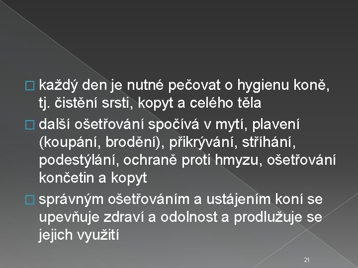 � každý den je nutné pečovat o hygienu koně, tj. čistění srsti, kopyt a