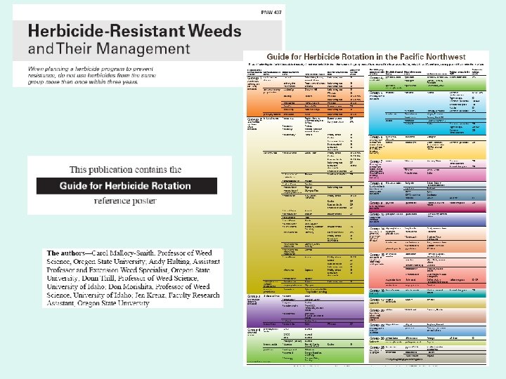 How Herbicides Work In PlantsHerbicide Symptomology Andy Hulting