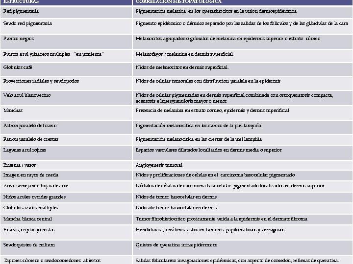 ESTRUCTURAS CORRELACIÓN HISTOPATOLÓGICA Red pigmentaria Pigmentación melánica en los queratinocitos en la unión dermoepidérmica