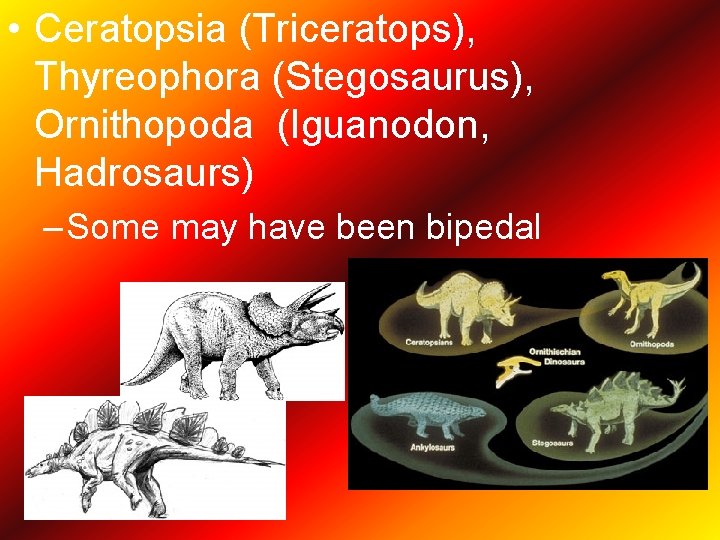  • Ceratopsia (Triceratops), Thyreophora (Stegosaurus), Ornithopoda (Iguanodon, Hadrosaurs) – Some may have been
