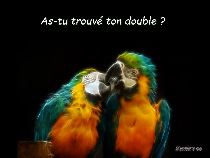 As-tu trouvé ton double ? 