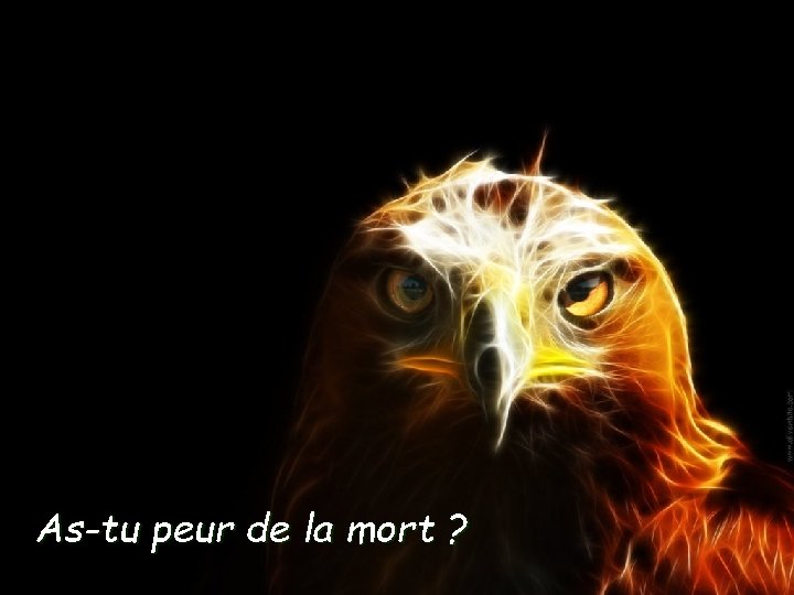 As-tu peur de la mort ? 
