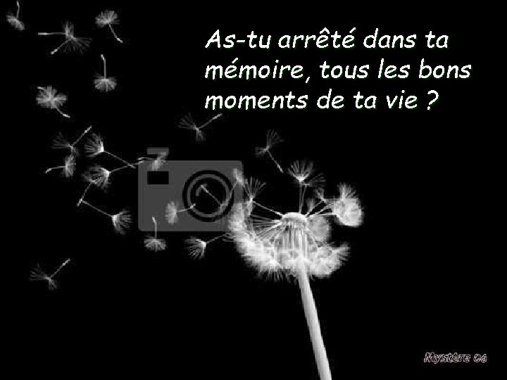 As-tu arrêté dans ta mémoire, tous les bons moments de ta vie ? 