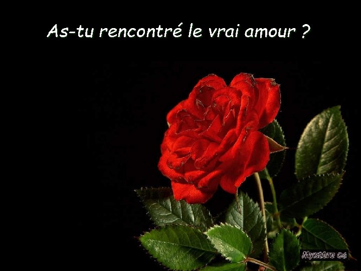 As-tu rencontré le vrai amour ? 