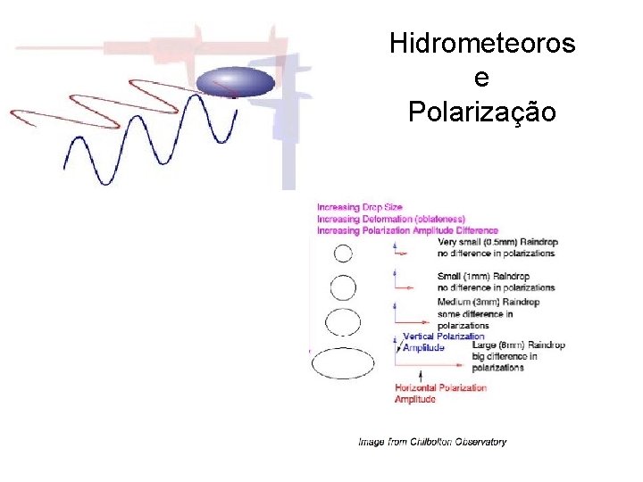 Hidrometeoros e Polarização 