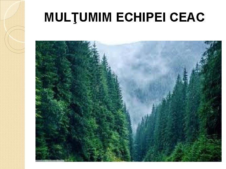 MULŢUMIM ECHIPEI CEAC MULŢUMIM ECHIPEI CEAC