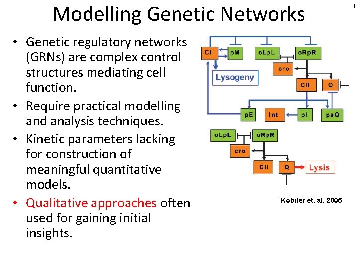 Modelling Genetic Networks • Genetic regulatory networks (GRNs) are complex control structures mediating cell