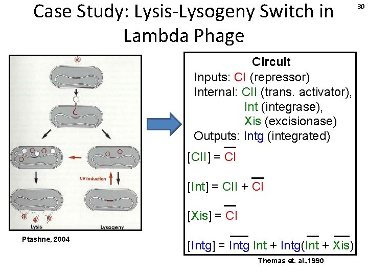 Case Study: Lysis-Lysogeny Switch in Lambda Phage Circuit Inputs: CI (repressor) Internal: CII (trans.