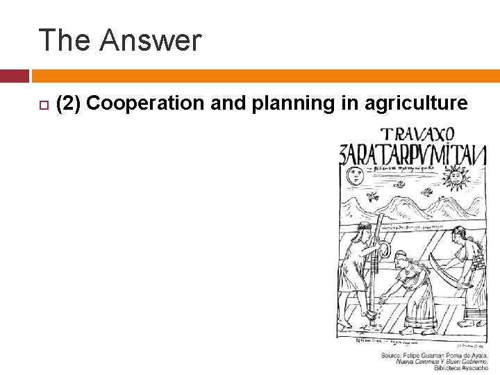 The Answer (2) Cooperation and planning in agriculture 