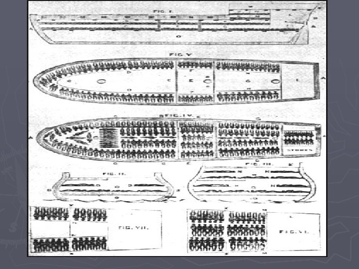 Slave ships 