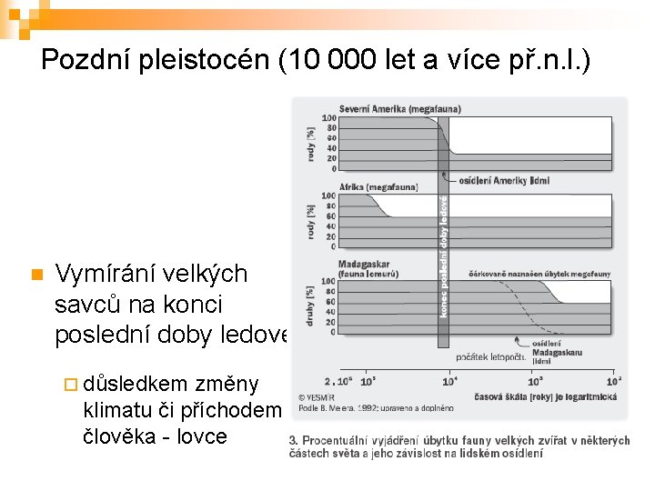 Pozdní pleistocén (10 000 let a více př. n. l. ) n Vymírání velkých