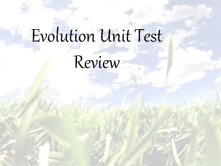 Evolution Unit Test Review 