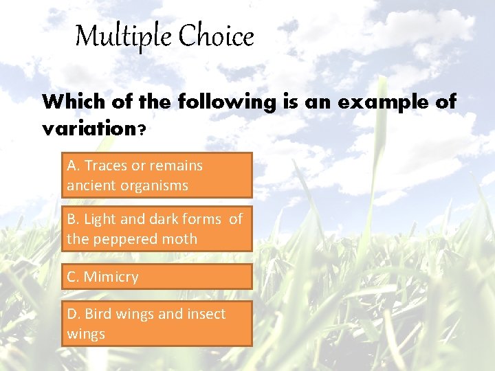 Multiple Choice Which of the following is an example of variation? A. Traces or