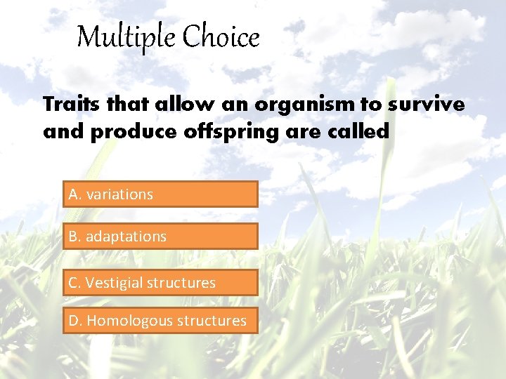 Multiple Choice Traits that allow an organism to survive and produce offspring are called