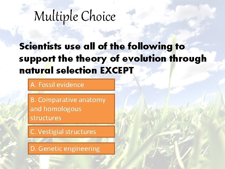 Multiple Choice Scientists use all of the following to support theory of evolution through