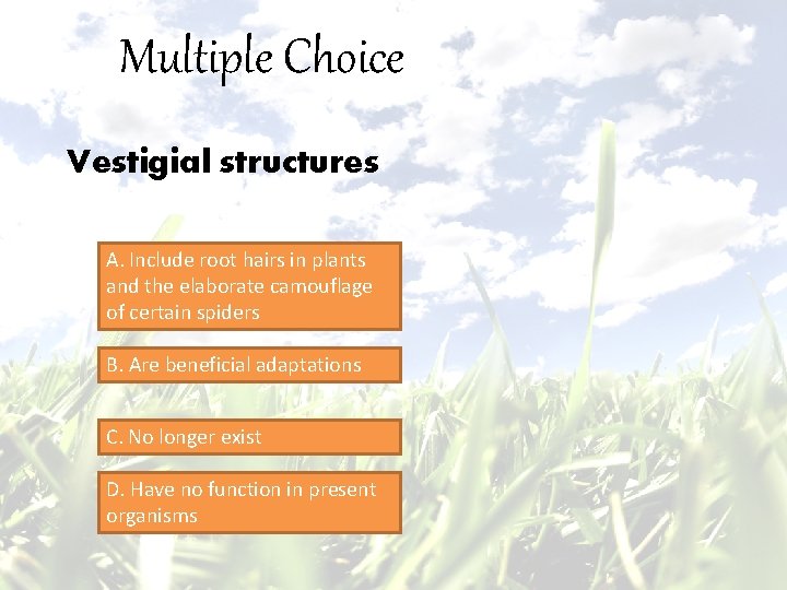 Multiple Choice Vestigial structures A. Include root hairs in plants and the elaborate camouflage