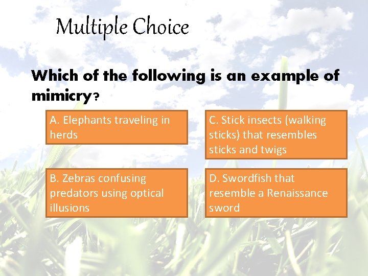 Multiple Choice Which of the following is an example of mimicry? A. Elephants traveling