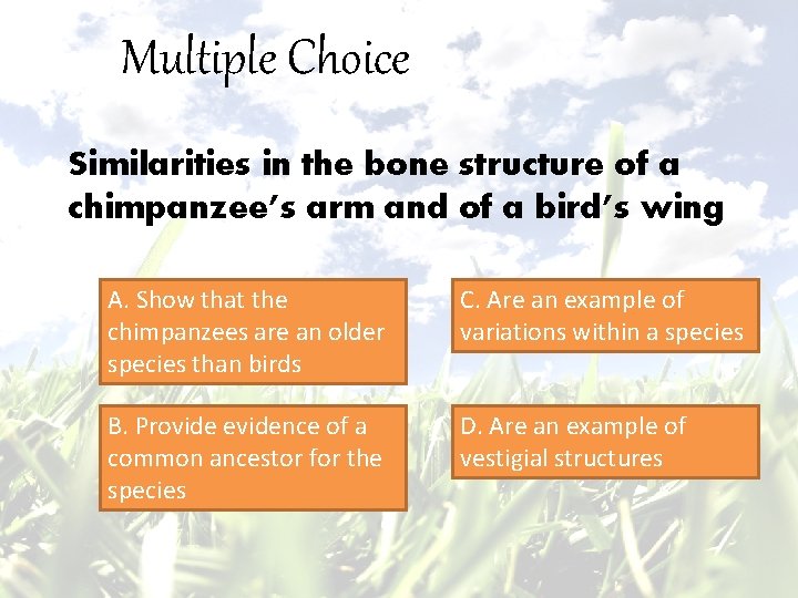 Multiple Choice Similarities in the bone structure of a chimpanzee’s arm and of a