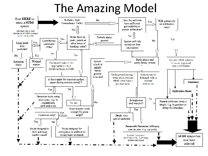 The Amazing Model 