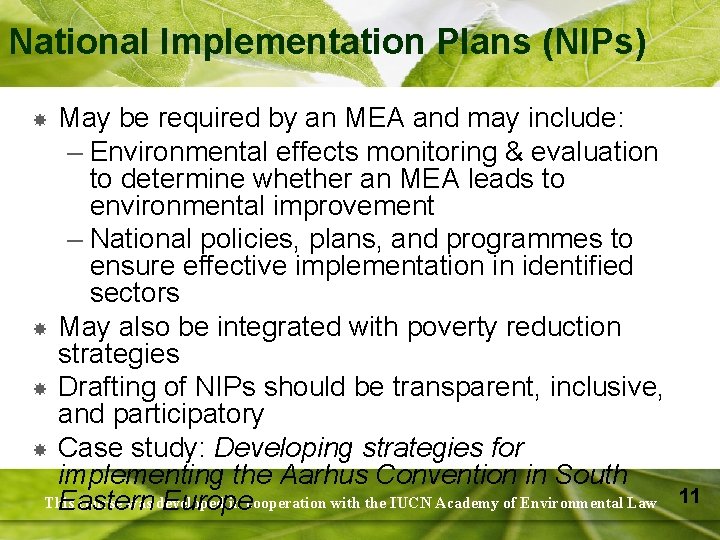 National Implementation Plans (NIPs) May be required by an MEA and may include: –