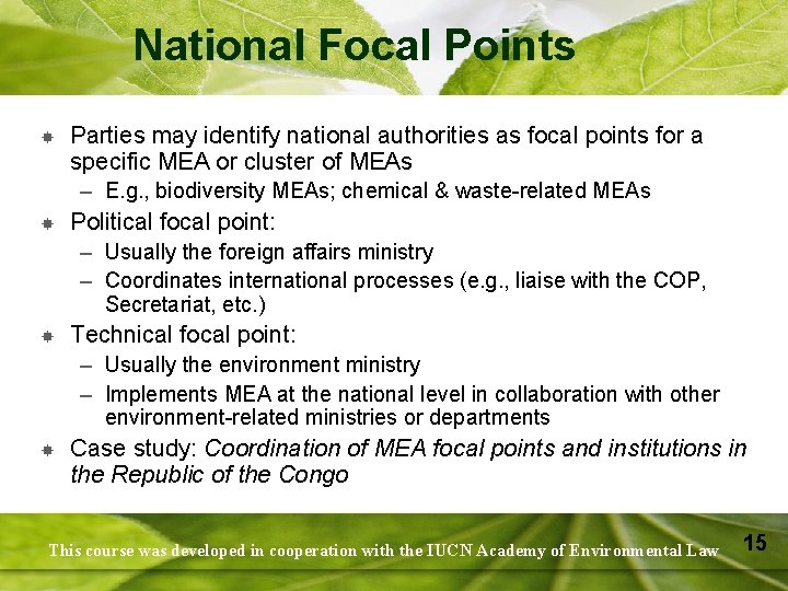 National Focal Points Parties may identify national authorities as focal points for a specific