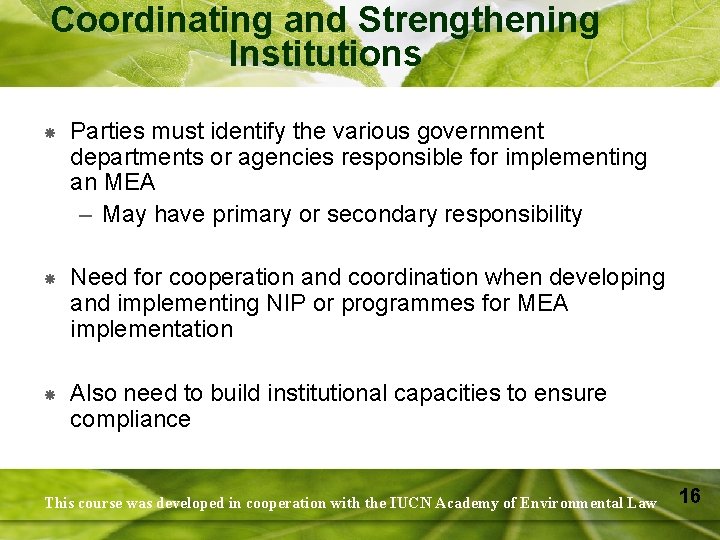 Coordinating and Strengthening Institutions Parties must identify the various government departments or agencies responsible