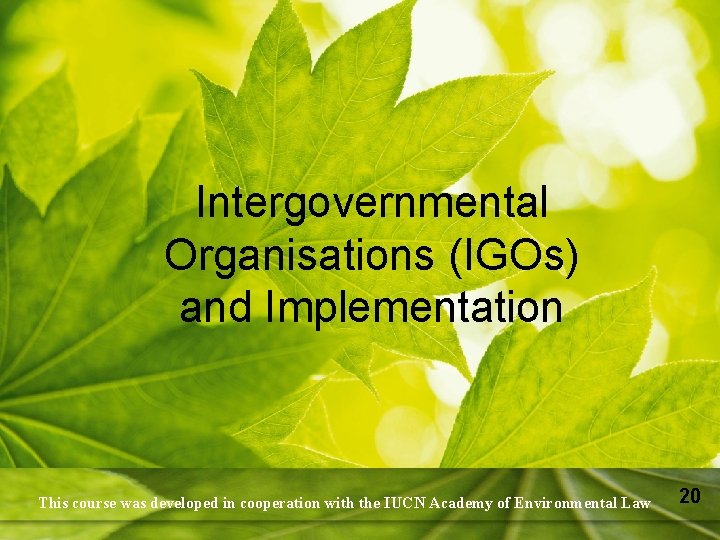 Intergovernmental Organisations (IGOs) and Implementation This course was developed in cooperation with the IUCN