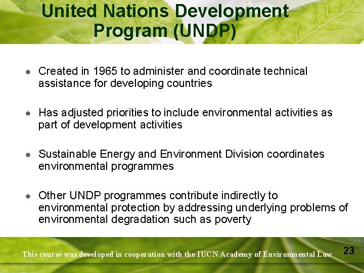 United Nations Development Program (UNDP) Created in 1965 to administer and coordinate technical assistance