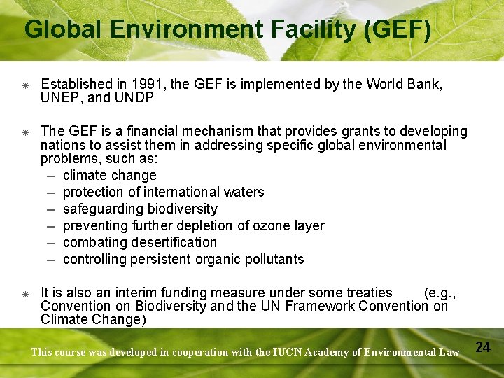 Global Environment Facility (GEF) Established in 1991, the GEF is implemented by the World