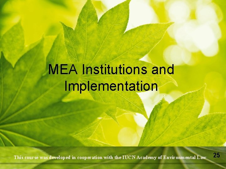 MEA Institutions and Implementation This course was developed in cooperation with the IUCN Academy