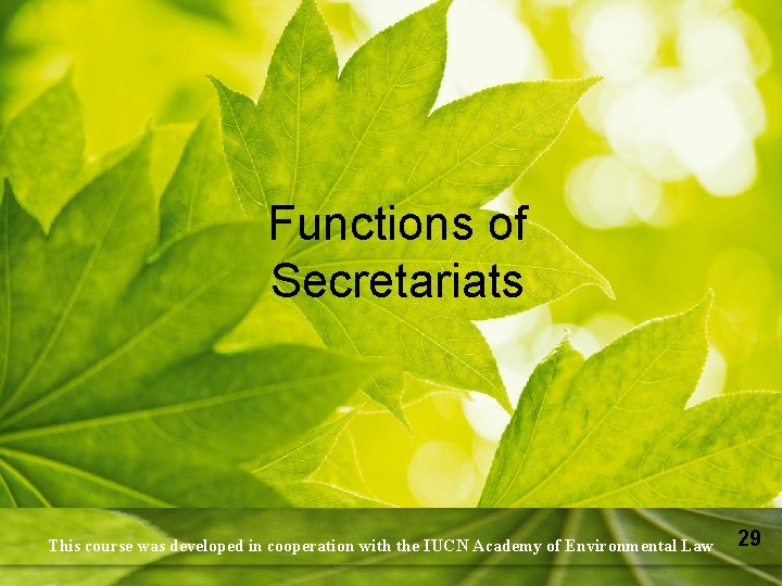 Functions of Secretariats This course was developed in cooperation with the IUCN Academy of