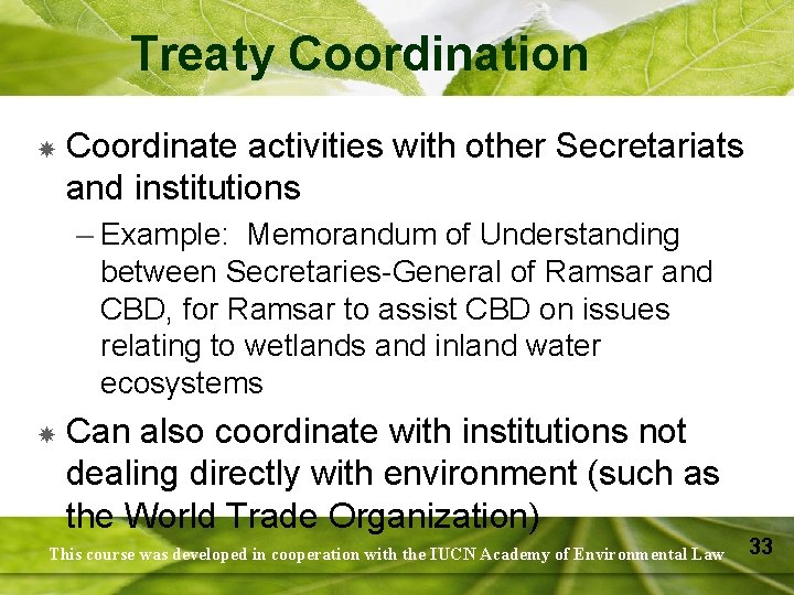 Treaty Coordination Coordinate activities with other Secretariats and institutions – Example: Memorandum of Understanding