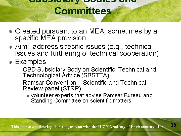 Subsidiary Bodies and Committees Created pursuant to an MEA, sometimes by a specific MEA