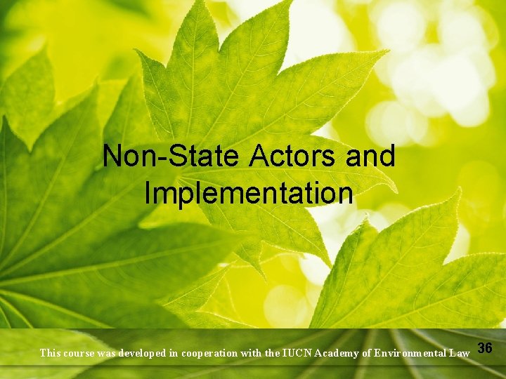 Non-State Actors and Implementation This course was developed in cooperation with the IUCN Academy